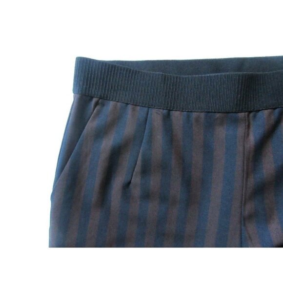 NWT H&M Burgundy & Navy Wide Stripe Side Zip Stretch Ankle Crop Pants 4 - Picture 4 of 5